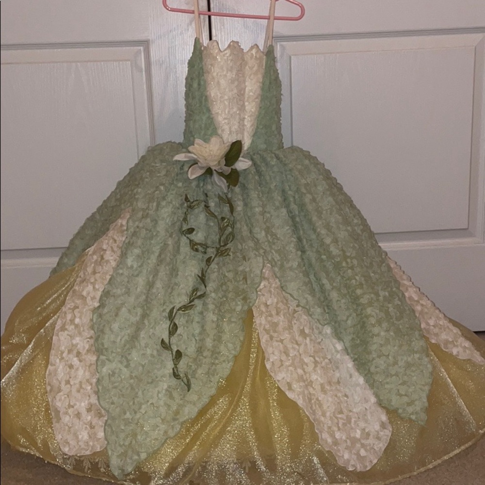 Princess Tiana Costume Gown Tutu Dress